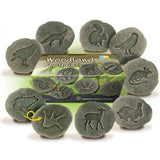 Let’s Investigate Woodland Footprints