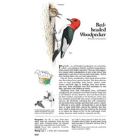 Book of North American Birds