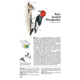Book of North American Birds