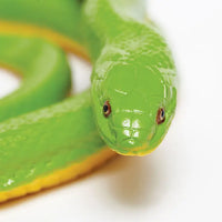 Rough Green Snake