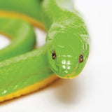 Rough Green Snake