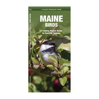 Pocket Naturalist Guide-Maine Birds