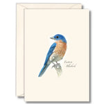 Eastern Bluebird II Notecards