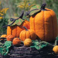Fairy Pumpkin, 8"