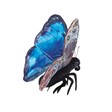 Blue Morpho Butterfly Puppet by Folkmanis