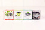 Blueberry Pack Tea Sampler with Infuser