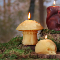 Beeswax Holiday Nature Candles by Big Dipper Wax Works