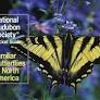National Audubon Society Pocket Guide - Familiar Butterflies of North America
