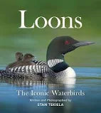 Loons - The Iconic Waterbirds