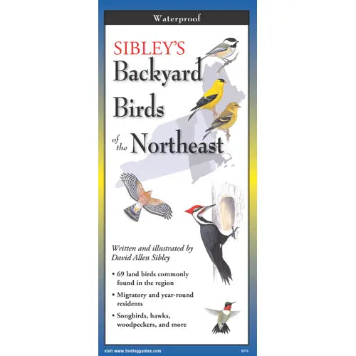 Sibley's Backyard Birds of the Northeast