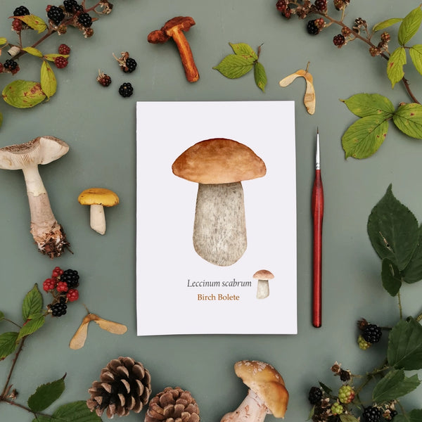 Mushroom Art Print - Birch Bolete