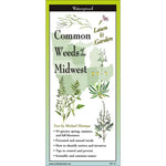 Common Weeds of the NorthEast