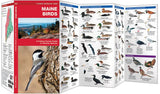 Maine Birds - A Folding Pocket Guide