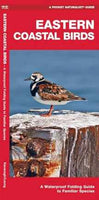 Pocket Naturalist Guide-Eastern Coastal Birds
