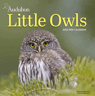 Audubon Little Owls 2025 Mini Calendar