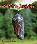 What's Inside
