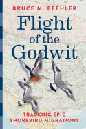 Flight of the Godwit Tracking Epic Shorebird Migrations