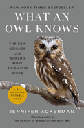 What an owl knows - Paperback