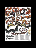 Jada Fitch Poster Butterflies of Maine with Text