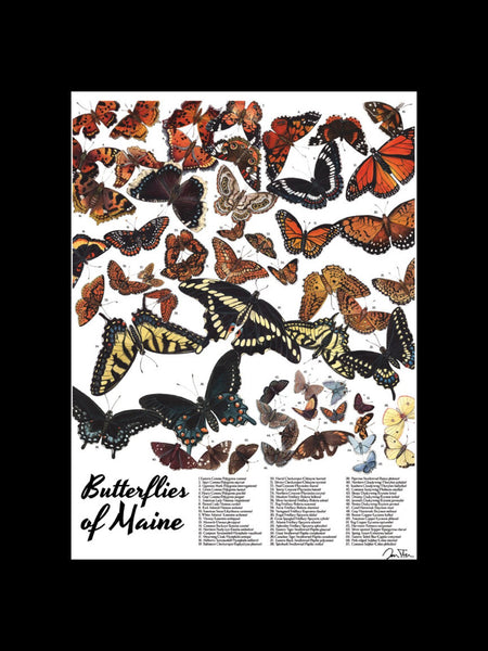 Jada Fitch Poster Butterflies of Maine with Text