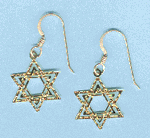 Star of David Earrings in Gold or Silver by Goose Pond