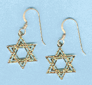 Star of David Earrings in Gold or Silver by Goose Pond