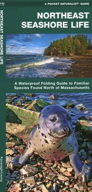 Pocket Naturalist Guide- Northeast Seashore Life
