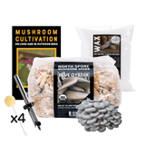 Mushroom Log Beginner Bundle Blue Oyster