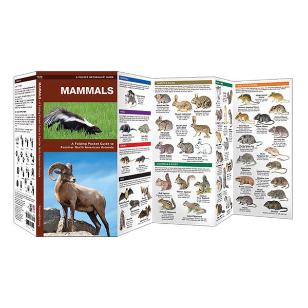Pocket Naturalists Guide - Mammals