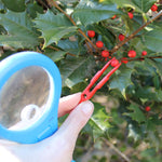Safariology Mega-10 Magnifier with Tweezers