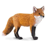 Red Fox