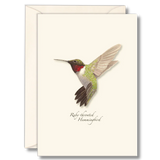 Ruby Throated Hummingbird Boxed Notecards