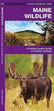 Pocket Naturalist Guide-Maine Wildlife