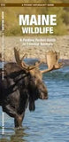 Pocket Naturalist Guide-Maine Wildlife
