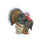 Turkey Toy