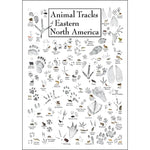 Animal Tracks of Eastern North America Poster