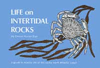Finder - Life on Intertidal Rocks