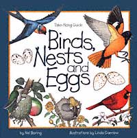 Take-Along Guide:  Birds, Nests, and Eggs