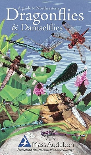 A Guide to Northeastern Dragonflies & Damselflies