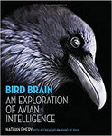 Bird Brain: An Exploration of Avian Intelligence