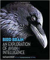 Bird Brain: An Exploration of Avian Intelligence