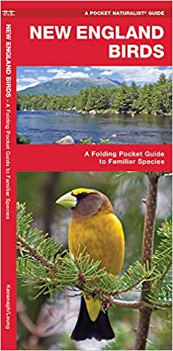 Pocket Naturalist Guide-New England Birds