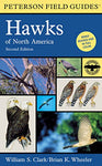 Peterson Field Guides: Hawks of North America