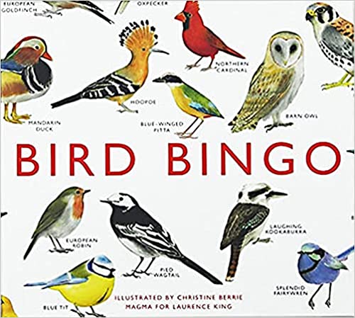 Bird Bingo - Illustrations by Christine Berrie