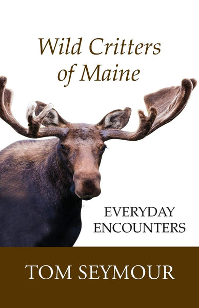 Wild Critter of Maine- Everyday Encounters