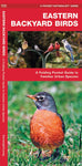 Pocket Naturalist Guide-Eastern Backyard Birds