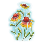 Fun Folk: Gaillardias Vinyl Sticker