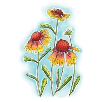 Fun Folk: Gaillardias Vinyl Sticker