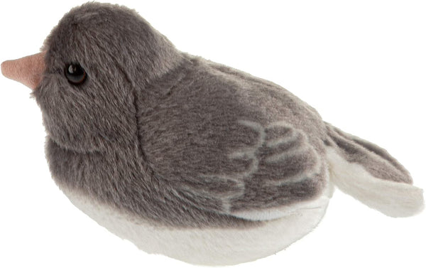 Dark Eyed Junco