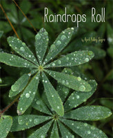 Raindrops Roll Hardcover